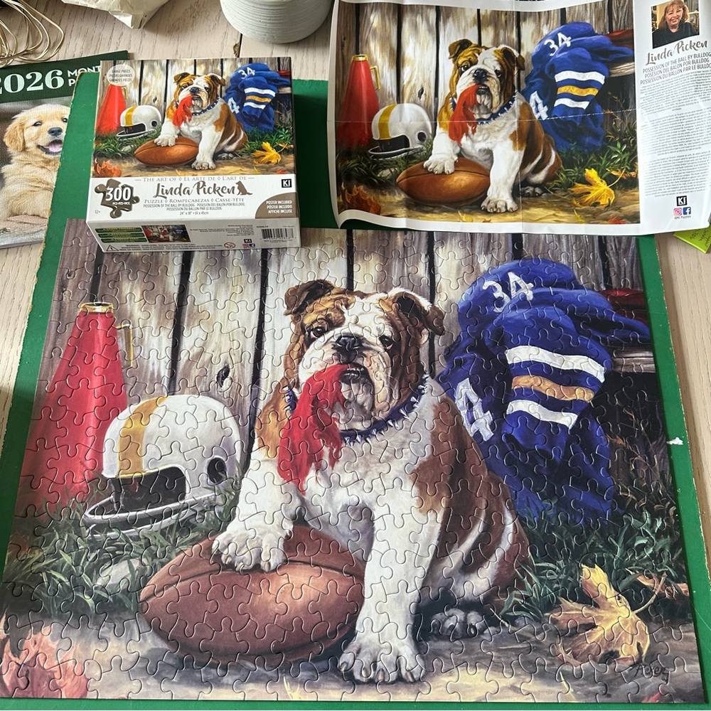 300 large piece puzzle for kids or seniors.